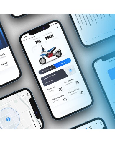 Electric Scooter Felo FW-03