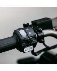 Scooter elettrico Felo FW-06